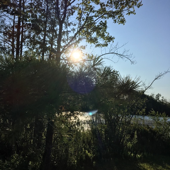 Meet your Posher, Anne - Picture 1 of 1